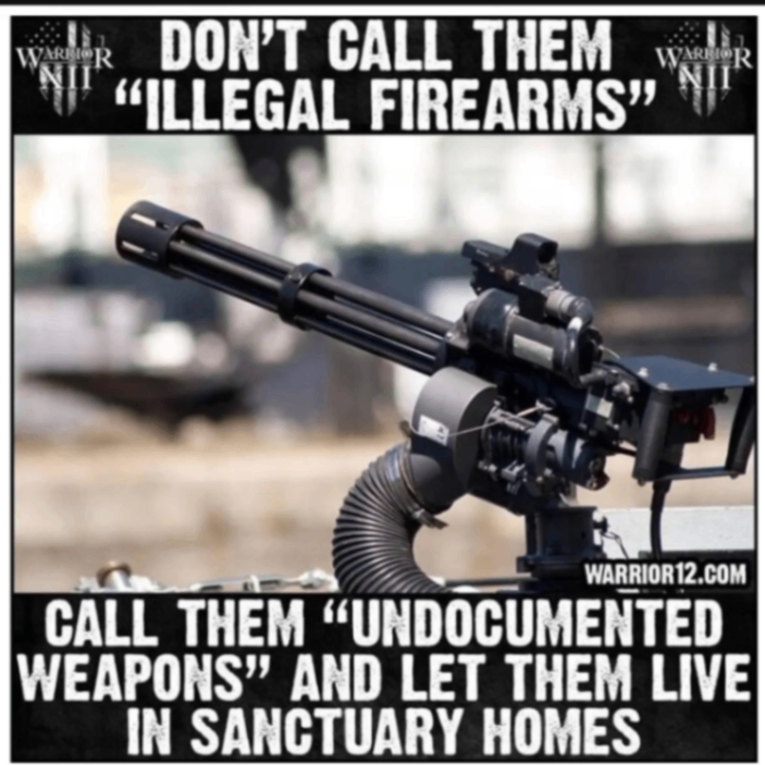 WATT DON'T CALL THEM WARHOR "ILLEGAL FIREARMS" WARRIOR 12.COM CALL THEM "UNDOCUMENTED WEAPONS" AND LET THEM LIVE IN SANCTUARY HOMES