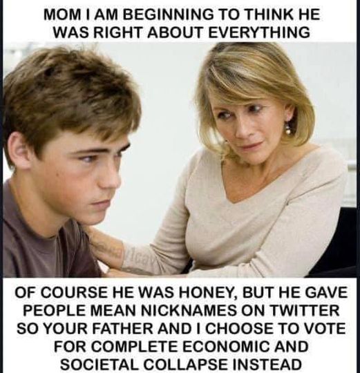 MOM I AM BEGINNING TO THINK HE WAS RIGHT ABOUT EVERYTHING OF COURSE HE WAS HONEY, BUT HE GAVE PEOPLE MEAN NICKNAMES ON TWITTER SO YOUR FATHER AND I CHOOSE TO VOTE FOR COMPLETE ECONOMIC AND SOCIETAL COLLAPSE INSTEAD