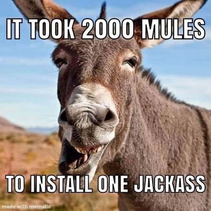IT TOOK 2000 MULES TO INSTALL ONE JACKASS made with mematic