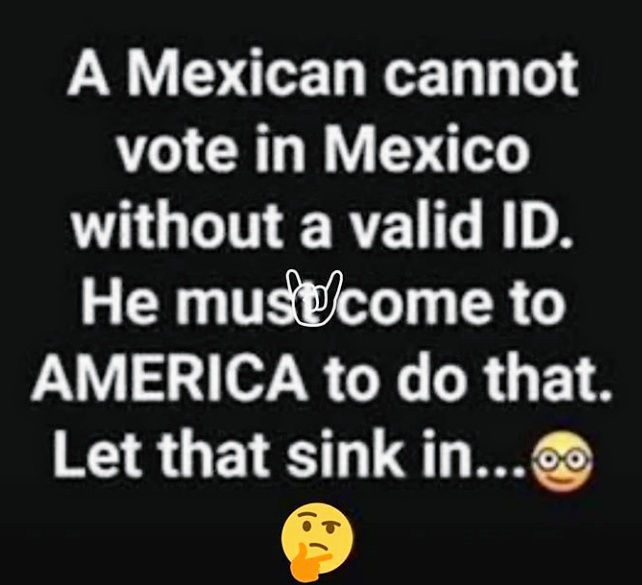 A Mexican cannot vote in Mexico without a valid ID. He must/come to AMERICA to do that. Let that sink in...